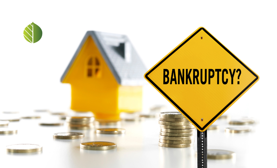 what is bankruptcy and how to file?